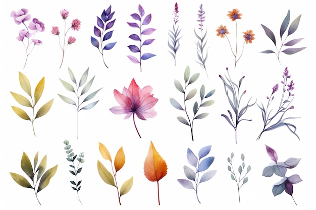 Vector elegant watercolor leaves and flowers clipart