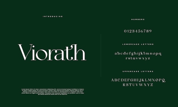 Elegant wedding alphabet letter font typography luxury classic serif fonts decorative vintage retro