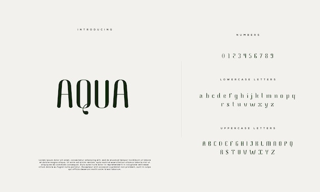 Elegant wedding alphabet letter font typography luxury classic serif fonts decorative vintage retro