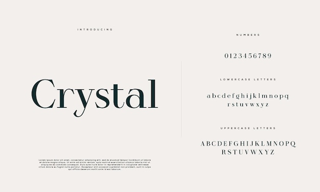 Elegante matrimonio alfabeto lettera carattere tipografia lusso classico caratteri serif decorativi vintage retrò