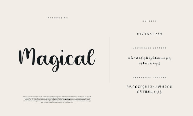 Elegant wedding alphabet letter font typography luxury classic serif fonts decorative vintage retro