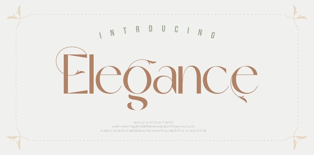 Elegant wedding alphabet letters font Typography Luxury classic serif fonts decorative vintage retro