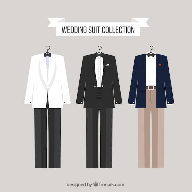 Vector elegant wedding suit set