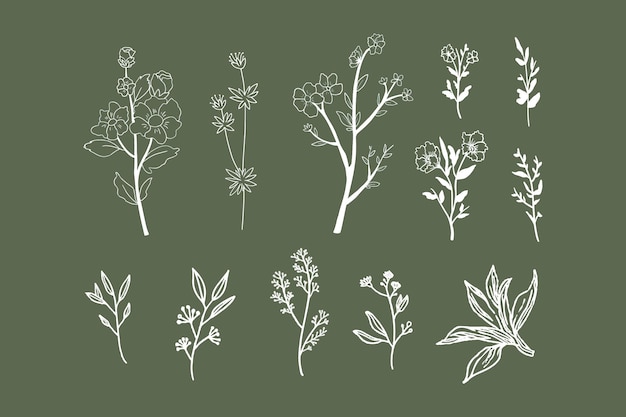 elegant white lineart leaves and flowers vector illustration pack