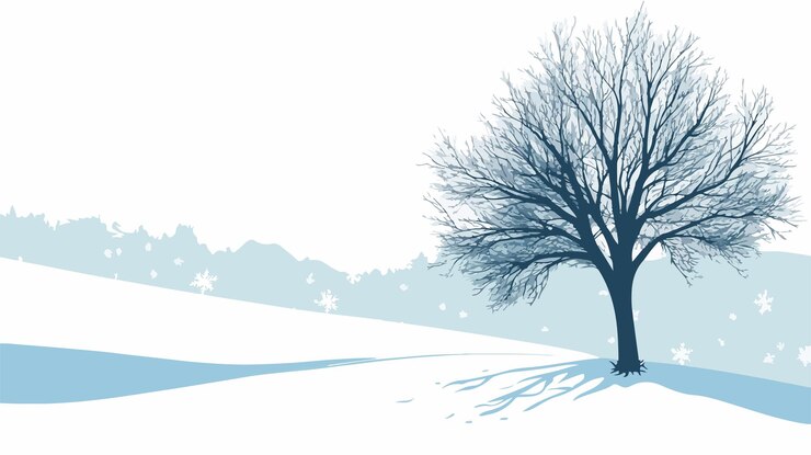 Vector elegant winter tree silhouette on white background