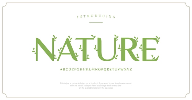 Elegante alfabet natuur lettertypen Luxe belettering typografie decoratief concept voor huwelijksuitnodiging