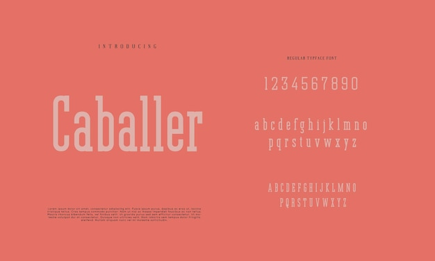 Elegante alfabetletters lettertype en nummer klassieke belettering minimale modeontwerpen typografiemodus