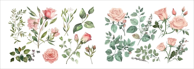 Elegante aquarel collectie van bloeiende rozen en bladeren Perfect voor uitnodigingen groeten en muurkunst