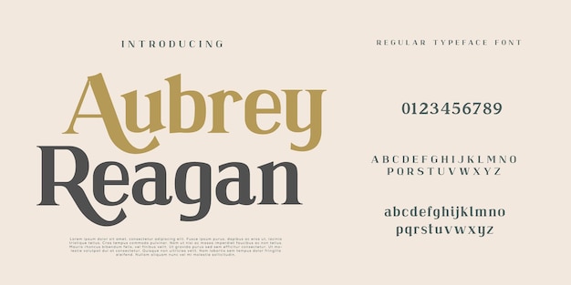 Elegante Mode en Minimale moderne serif alfabet font hoofdletters en nummer fonts victoriaanse