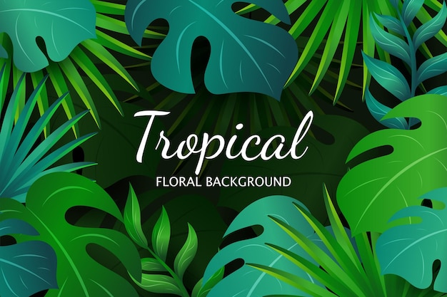 Elegante monstera en tropische bladerenachtergrond