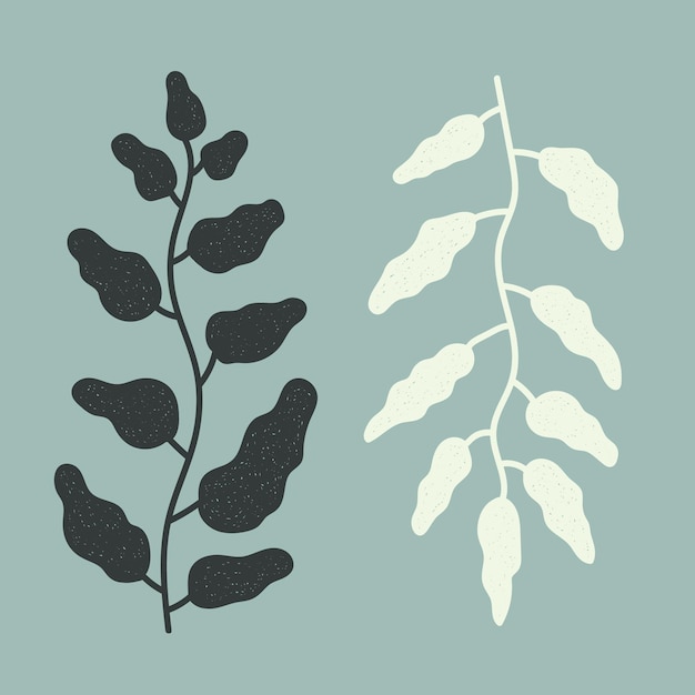 Vector elegante planten