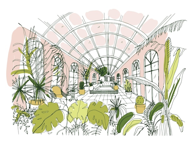 Vector elegante tekening van interieur van paviljoen of serre vol tropische planten met weelderig gebladerte