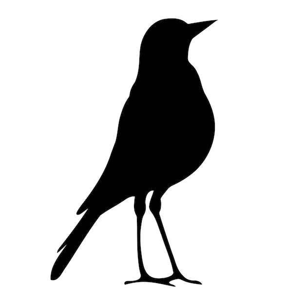 Elegante vogel silhouet symbool pictogram vectorillustratie