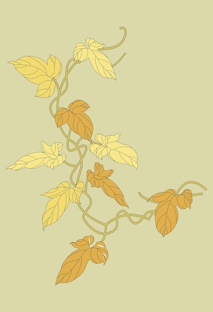 An element of the botanical design of the hedera vine