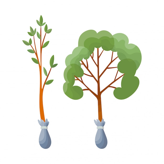 Element of garden set. Agricultural tool for garden care, colorful flat illustration. Gardening element decorative tree seedlings