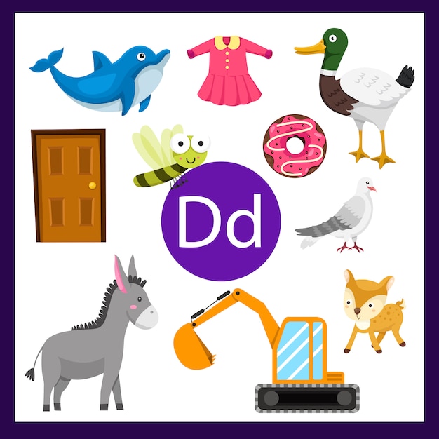 Vector elements of d alphabet for kids