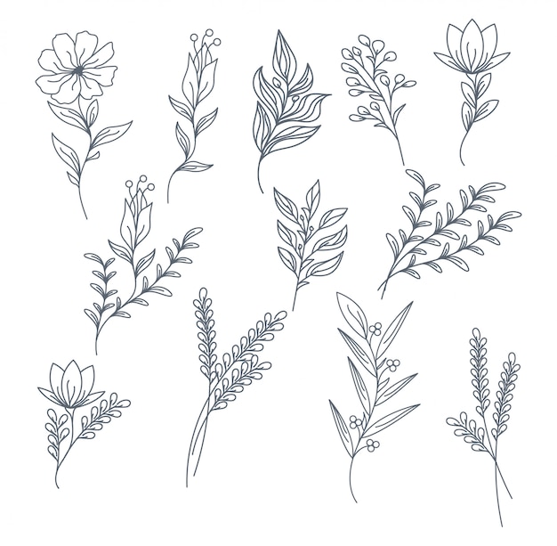 Vector elements hand drawn flowers collection