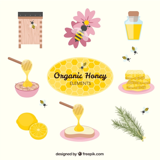 Vector elements of organic honey