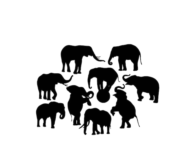 Elephant Animal Silhouettes art vector design