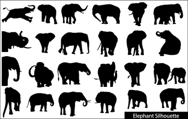 Vector elephant collection - vector silhouette