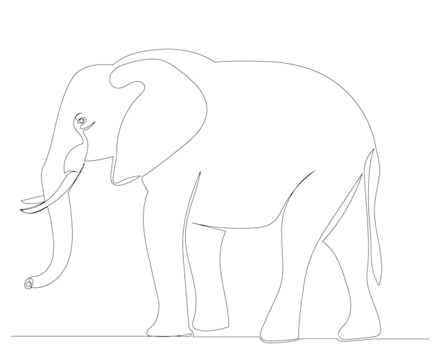 Vector elephant drawing by one continuous line isolated, vector