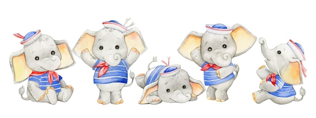 Elephant dressed as a sailor watercolor animal in cartoon style on an isolated background