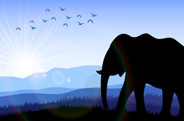 Elephant in the field at dawn