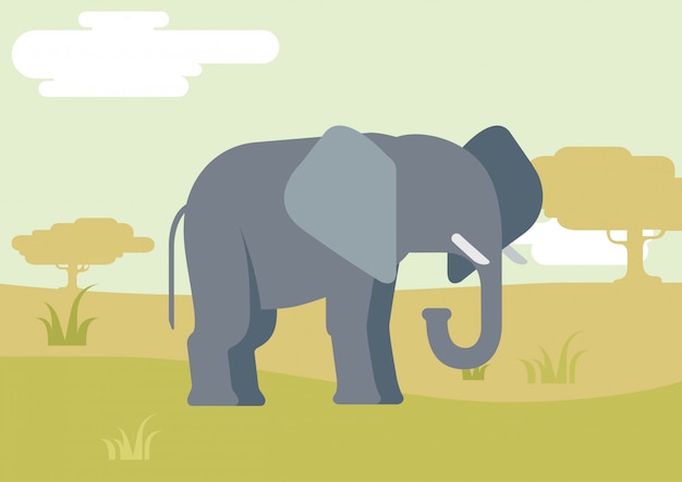 Elephant flat cartoon in savanna