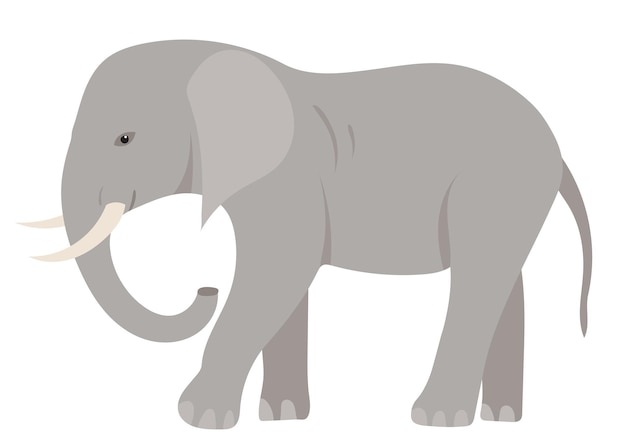 Vector elephant flat design isolated on white background vector