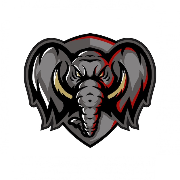 Vector elephant head front look