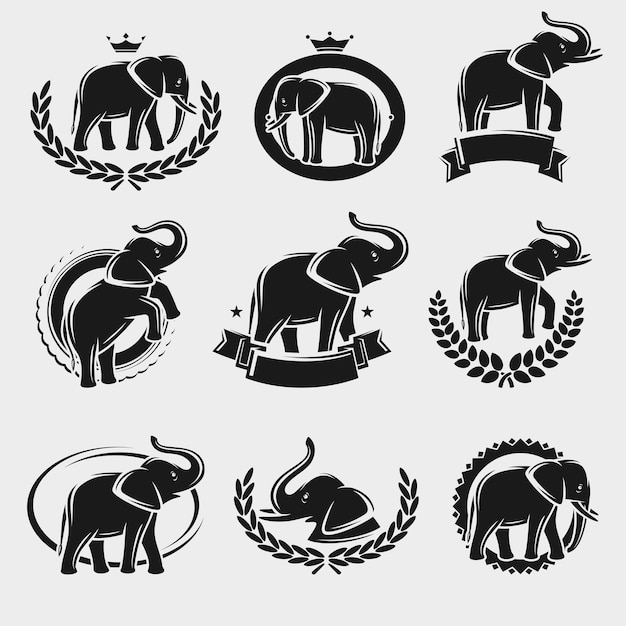 Vector elephant label and icons set vector