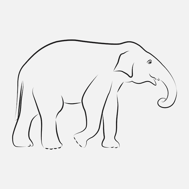 Modello vettoriale di elefante linea arte