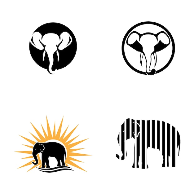 Дизайн векторной иллюстрации шаблона логотипа слона