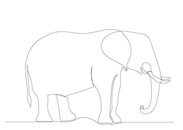 Elephant one line drawing isolated