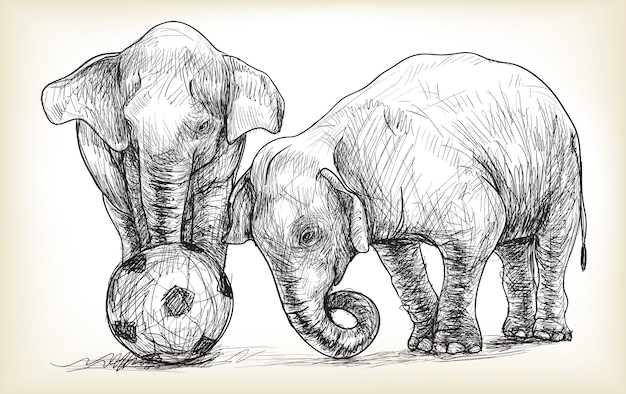 Elephant playing football illustration