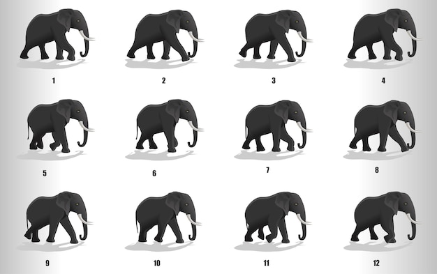 Elephant run cycle animation sequence