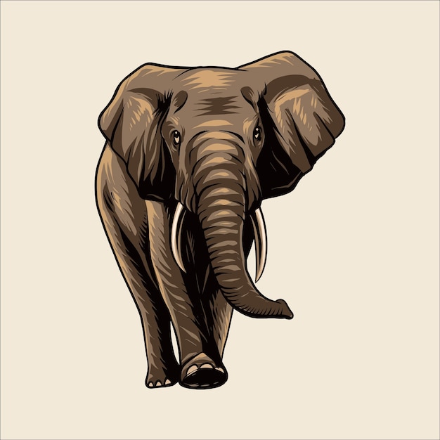 elephant savannah
