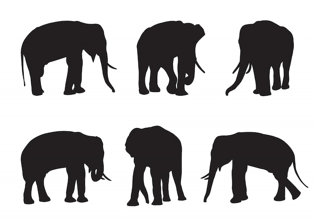 Vector elephant set silhouettes on the white background