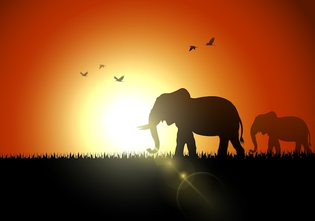 夕日の象のシルエット