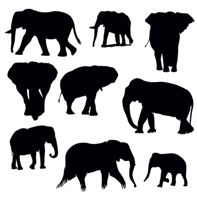 Vector elephant silhouette set
