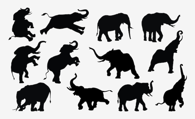Vector elephant silhouette vector set design