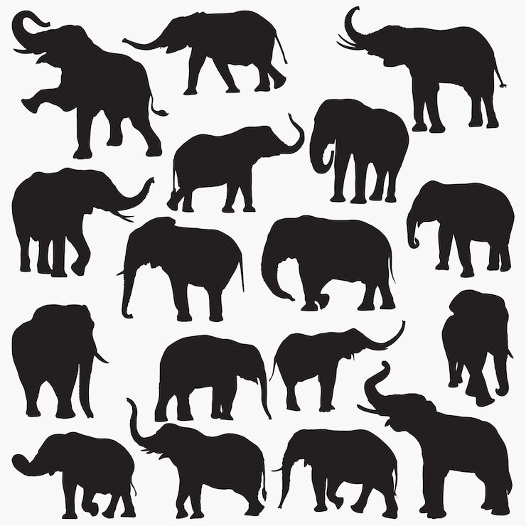 Vector elephant silhouettes 