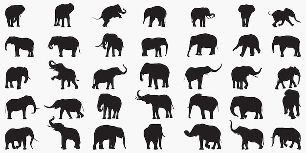 Elephant silhouettes