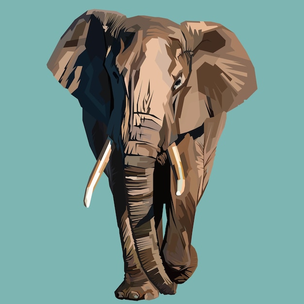 Elephant vector illustration