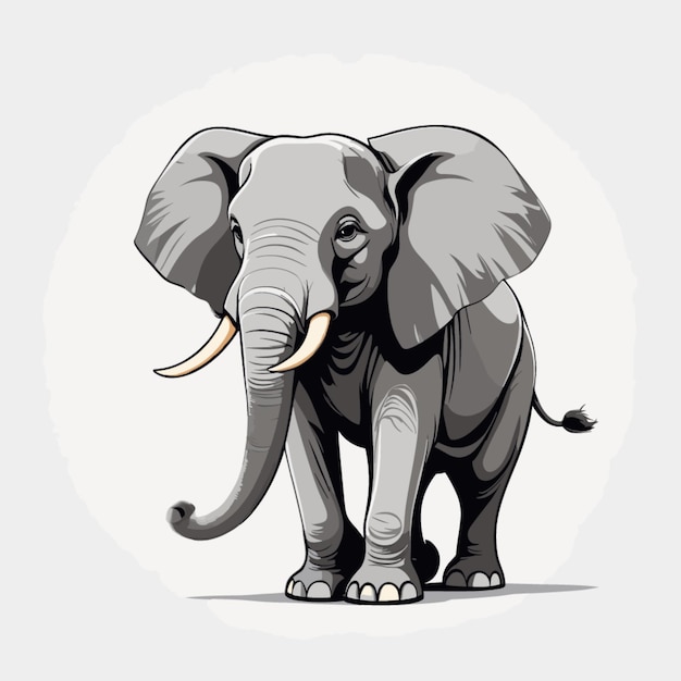 Vector elephant vector on white background