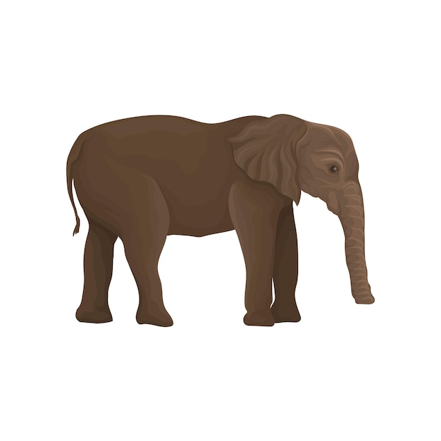 ベクトル 白い背景の上の象の野生動物の側面図ベクトル図