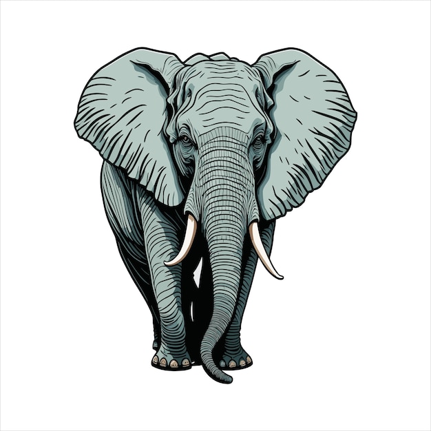 Elephant without ivory in cartoon style on white background