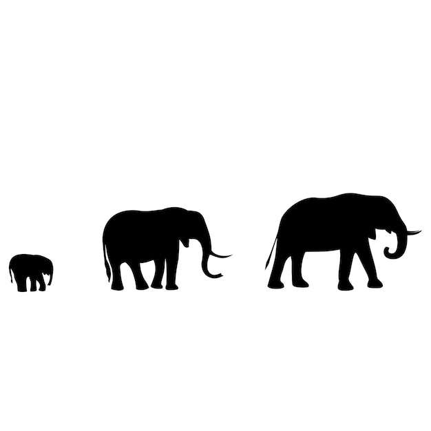 Elephants are in a pack animals