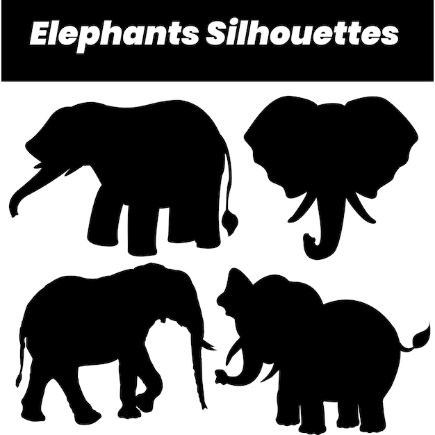 elephants new sillhouettes