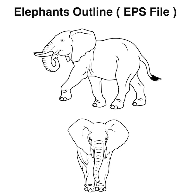 Elephants Outline Coloring Book